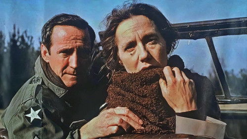 Rok spokojnego słońca Bild 8