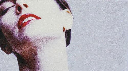 Der Klan der Vampire Bild 3