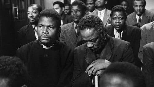 Cry, the Beloved Country Bild 2