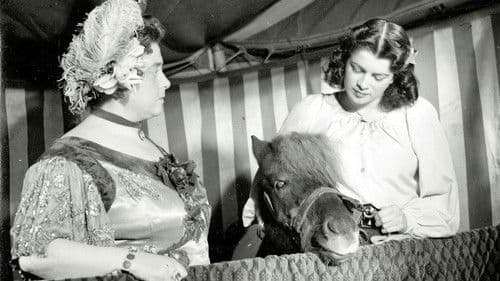 Menschen die vorüberziehen Bild 1