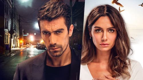 Schwarz-Weiß-Liebe Bild 2