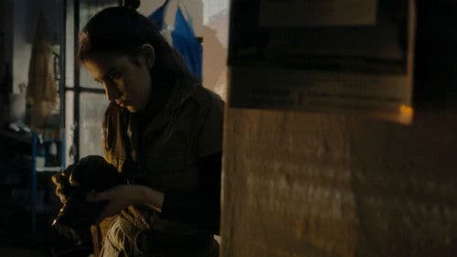 Inventário de Imagens Perdidas Bild 1