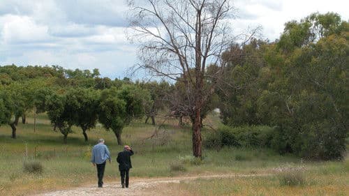 Michael Biberstein - O Meu Amigo Mike ao Trabalho Bild 1