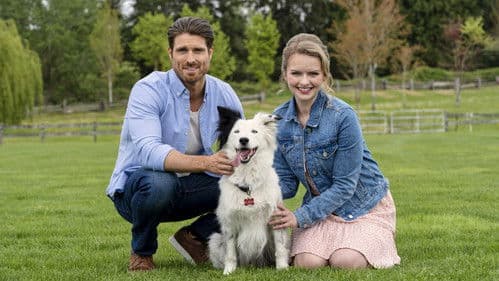 Romance to the Rescue Bild 5