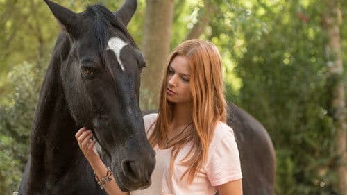 Ostwind 3 - Aufbruch nach Ora Bild 1