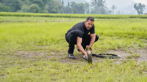 David Blaine Do Not Attempt Bild 4