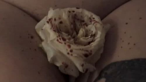 Amityville Vibrator Bild 2