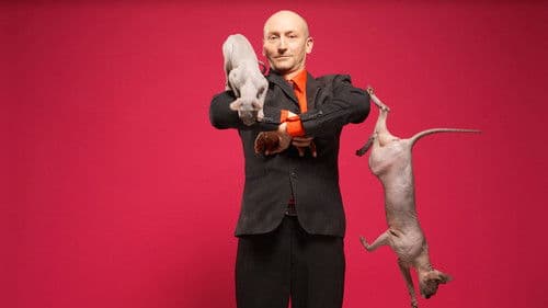 Fous des animaux Bild 3