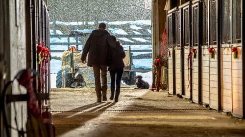 Home for Christmas Day Bild 2