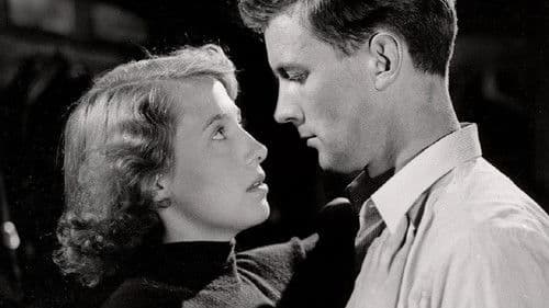 Dei svarte hestane Bild 1