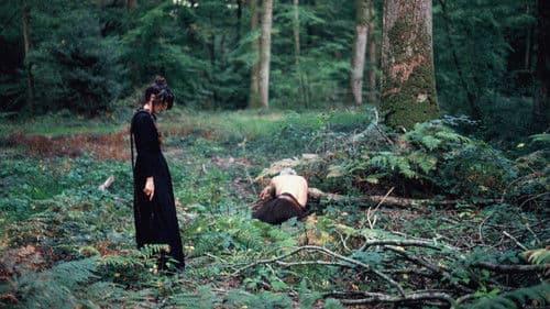 Història de la meva mort Bild 5