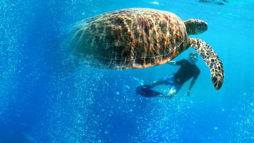 Fearless Adventures with Jack Randall Bild 4