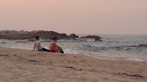 검은 여름 Bild 3