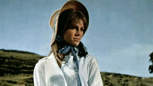 Die Herrin von Thornhill Bild 5