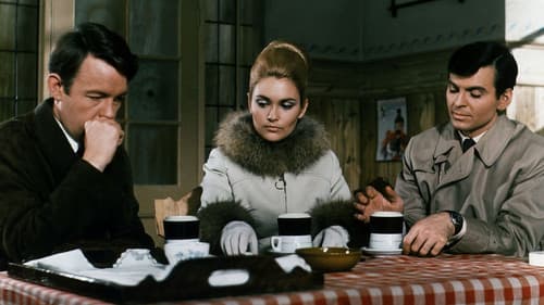 The Champions Bild 1