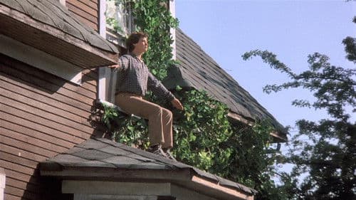 Der Knabe, der fliegen konnte Bild 2