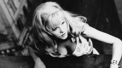 Wer will Jessie umbringen? Bild 2