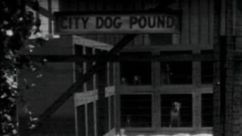 Es geschehen noch Wunder Bild 2