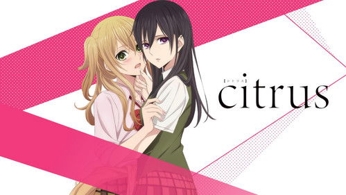 Citrus Bild 5