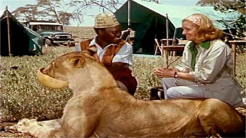 Born Free - Frei geboren Bild 6