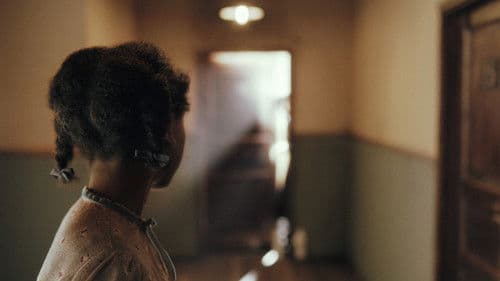 Blackbird Fly Bild 3