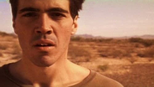 Postcards from America Bild 3