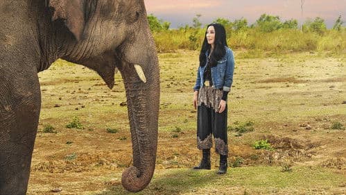 Cher & the Loneliest Elephant Bild 1