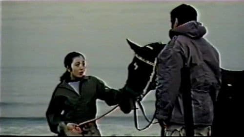 Neigh Means Yes Bild 2