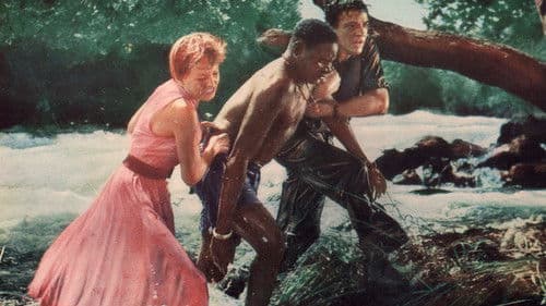 Duell im Dschungel Bild 1