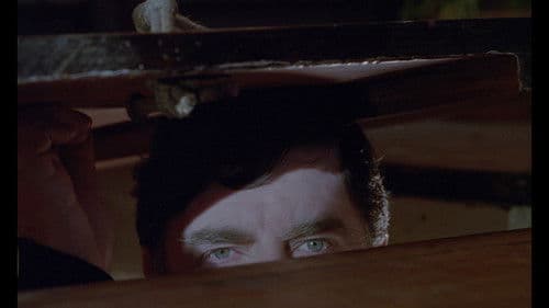 Secret Friends Bild 7