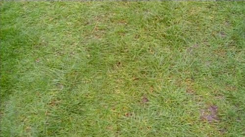 Do You Remember the First Time? Bild 1