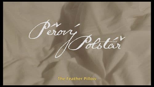 Péřový Polštář Bild 6