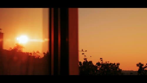 Dawn's Sunset Bild 3