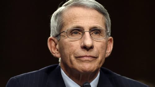 Fauci: The Virus Hunter Bild 1