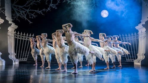 Matthew Bourne's Swan Lake Bild 1