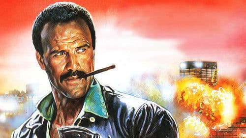 The Messenger Bild 4