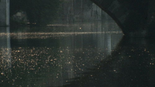 Bruges-La-Morte Bild 1