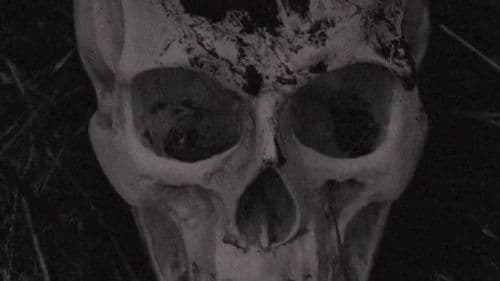 The Volition Of A Bygone Priest Bild 1