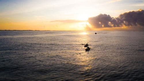 The Grand Swim Bild 1