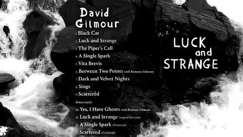 David Gilmour: Luck And Strange Bild 1