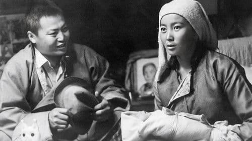 Хүйн холбоо Bild 1