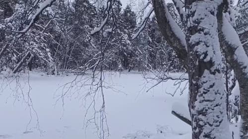 La Féerie Winter Bild 1