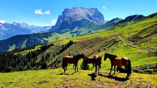 La Grande Bellezza - Vite segrete e luoghi nascosti d'Italia Bild 1