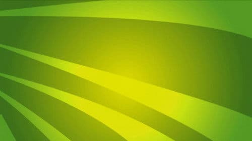 No-Brainers on Public Speaking Bild 1