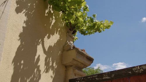 Von den Memoiren eines Hauses Bild 3