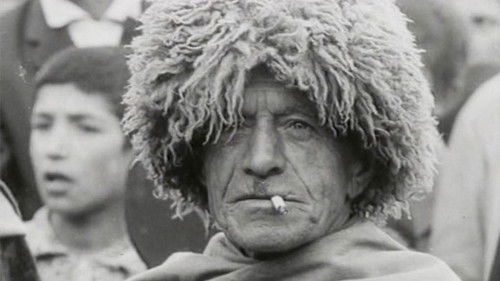 Времена года Bild 2