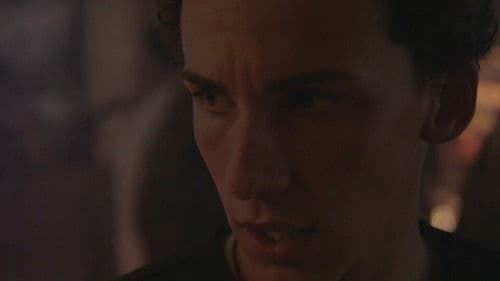 Everything is Temporary Bild 7