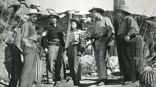 Blut und Gold Bild 1