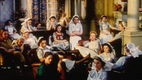 The Feminine Touch Bild 2