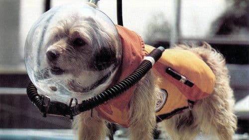 Benji at Marineland Bild 1